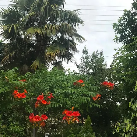 Bed & Breakfast La Maison Ancienne Eymet