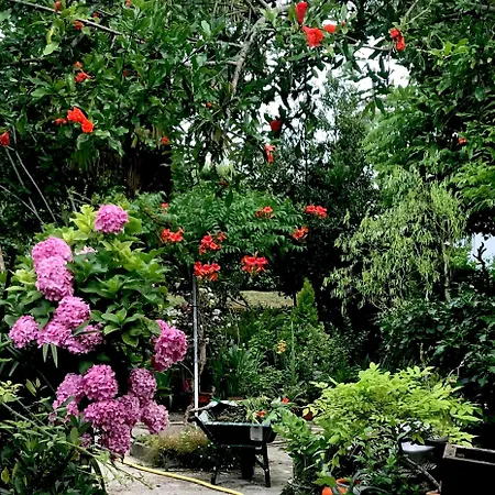 La Maison Ancienne Bed & Breakfast