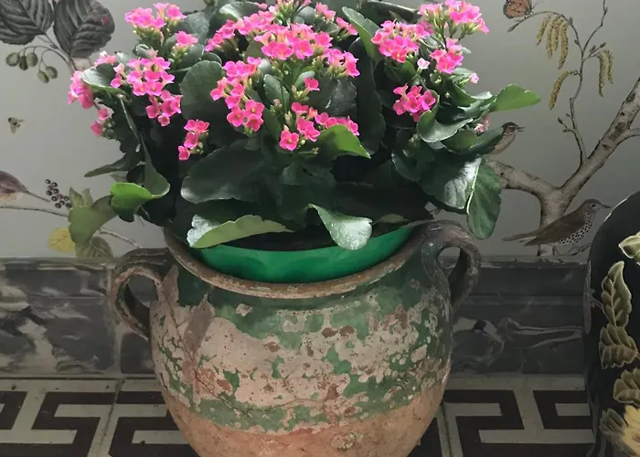 La Maison Ancienne 3* Eymet