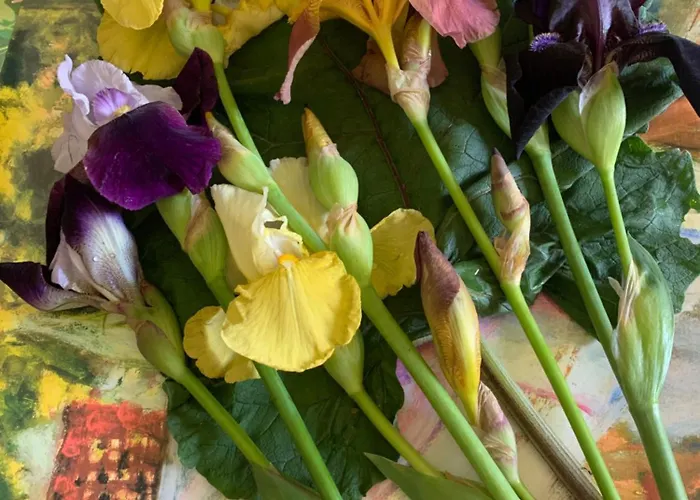 La Maison Ancienne 3*