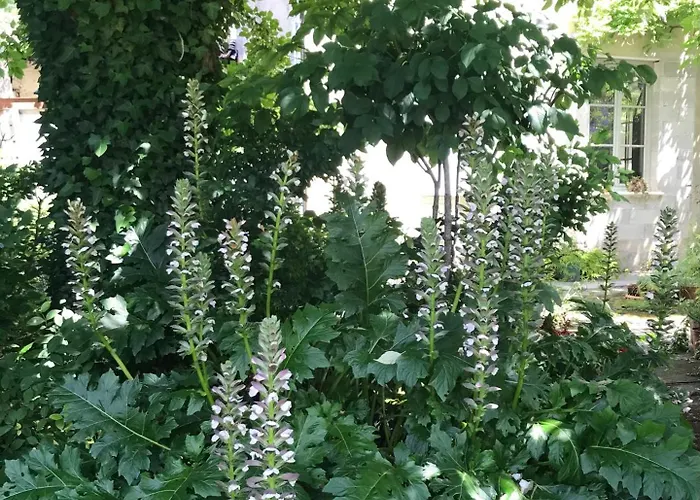 La Maison Ancienne Bed and breakfast 3*