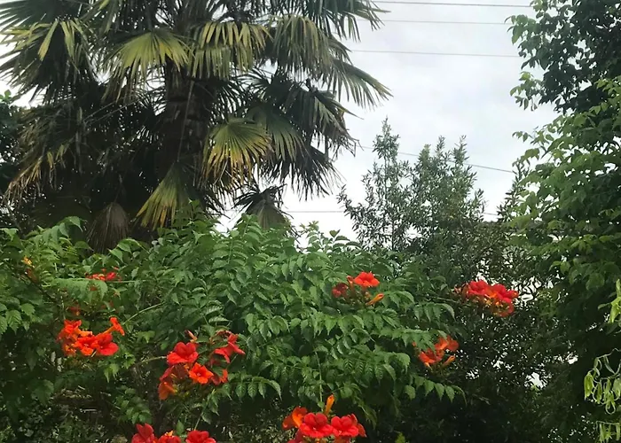 Bed and breakfast La Maison Ancienne Eymet