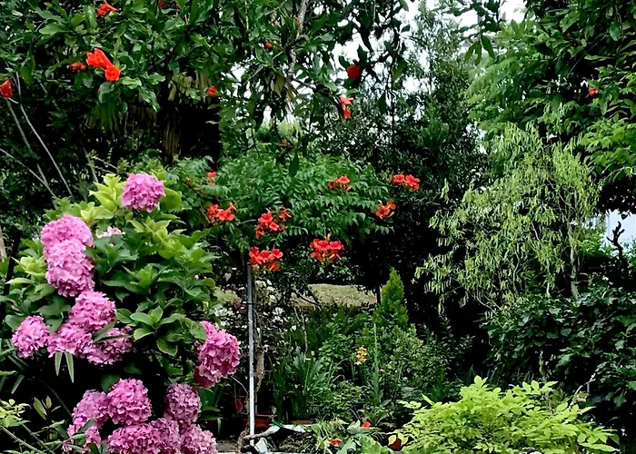 La Maison Ancienne Bed and breakfast